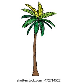 coconut tree beast icon cartoon design illustration nature seaside