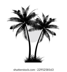 Coconut Tree Black And White Vector Art Illustration