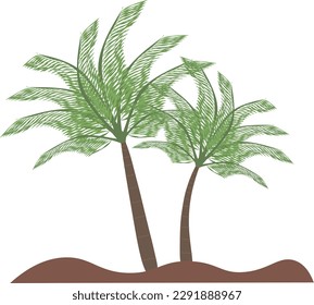 Coconut tree with brown sand on white background