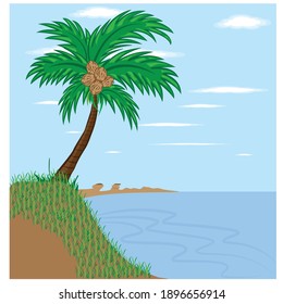 Coconut tree by the sea