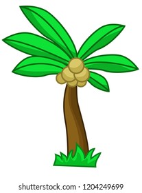 Coconut tree cartoon