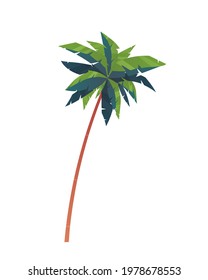 Coconut tree cartoon style, vector art and illustration.