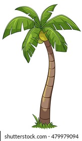 Coconut tree cartoon style, vector art and illustration.