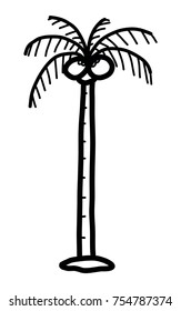coconut tree / cartoon vector and illustration, black and white, hand drawn, sketch style, isolated on white background.