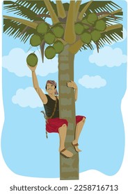 coconut tree climber with coconut in hand - illustration 