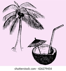 coconut tree, coconut cocktail, doodle style sketch illustration hand drawn vector 