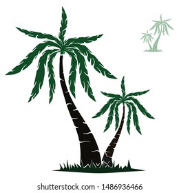 Coconut tree (Cocos nucifera). Realistic vector illustration with green grass