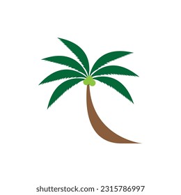 Coconut tree (Cocos nucifera). Set of realistic vector illustrations on white background.