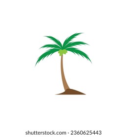 
Árbol de coco (Cocos nucifera), Conjunto de ilustraciones vectoriales realistas sobre fondo blanco.