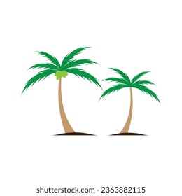 
Coconut tree (Cocos nucifera), Set of realistic vector illustrations on white background.