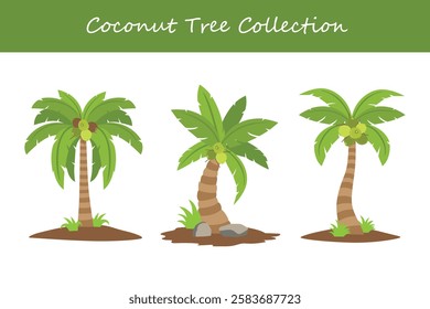 coconut tree collection in different poses. Vector illustration.