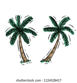 coconut tree with colored doodle style on white background