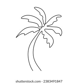 Coconut tree continuous line drawing. Vector illustration isolated. Minimalist design handdrawn.