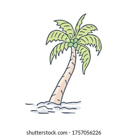 Coconut Tree Doodle illustration, Trendy and lovely hand drawn style isolated on white background
