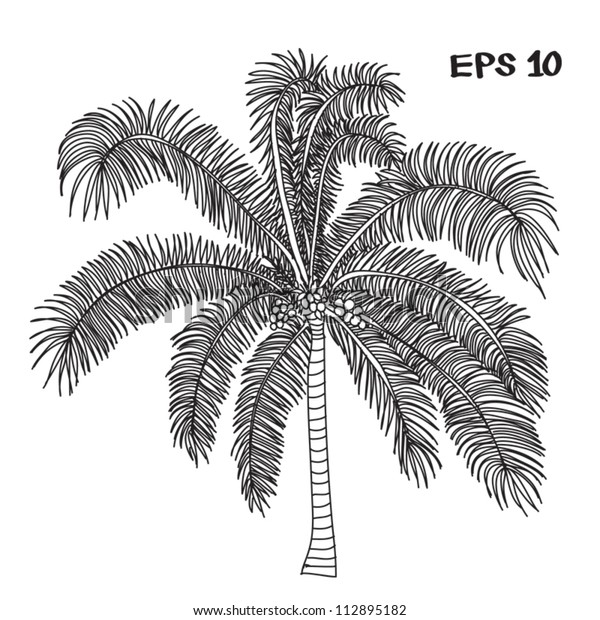 Coconut Tree Drawing Stock Vector (Royalty Free) 112895182