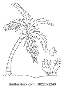 Coconut tree and flower hand drawn sketch design vector illustration