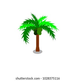 Coconut tree with full green leaf white background. Used in printing and web.