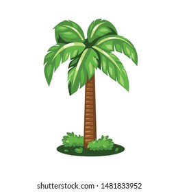 Coconut Tree Green Beach Garden Nature Jungle Forest