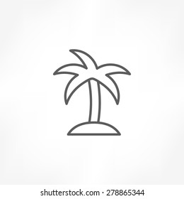 coconut tree icon