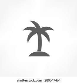 coconut tree icon