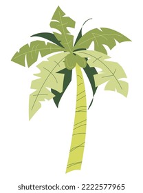 icono del árbol de coco. concepto de planta, árbol, verde, fruta, naturaleza, etc. ilustración vectorial plana
