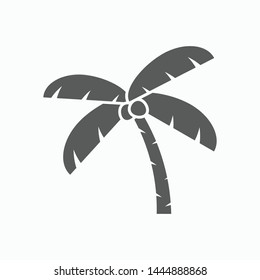 coconut tree icon, palm tree vector