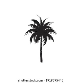 coconut tree icon, palm tree vector silhouette with black and white