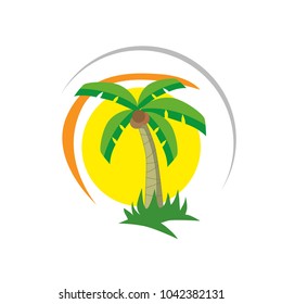 coconut tree icon or symbol