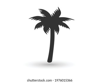 coconut tree icon. vector illustration.
