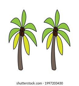 coconut tree icon vector illustration design