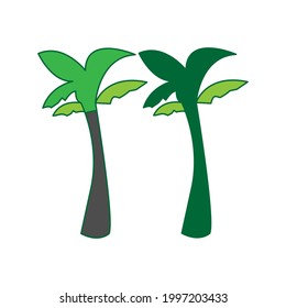 coconut tree icon vector illustration design