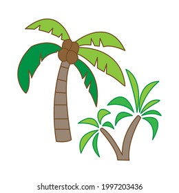 coconut tree icon vector illustration design