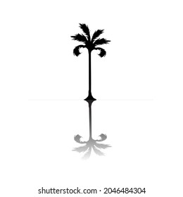 coconut tree icon, vector illustration, eps10. reflection, isolated on white.