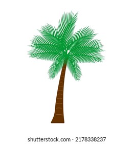 coconut tree icon, coconut tree vector sign symbol