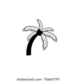 coconut tree icon.vector illustration.