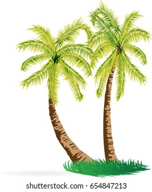 Coconut Tree Illustration