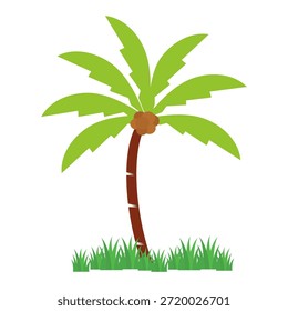 Coconut tree illustration. Flat style coconut tree design. Summer theme palm tree.