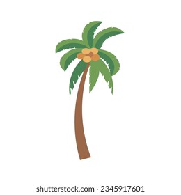 Coconut tree illustration isolated on white backround, cartoon palm tree flat vector