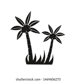 coconut tree ilustration with some coconut