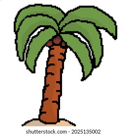 Coconut Tree Isolated On White Background