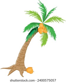 Coconut tree isolated on white background