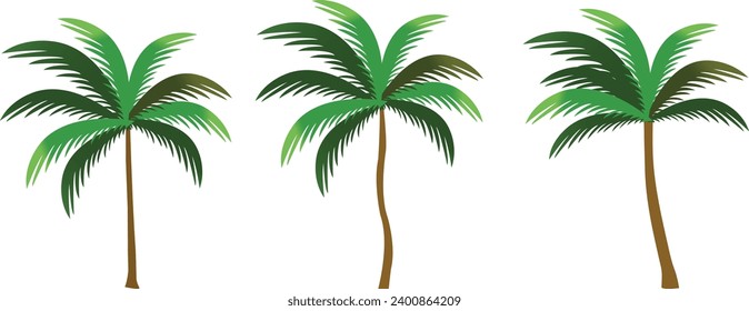 Coconut tree isolated on white background realistic vector illustration