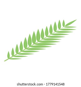 Coconut tree leaf icon. Isometric of coconut tree leaf vector icon for web design isolated on white background