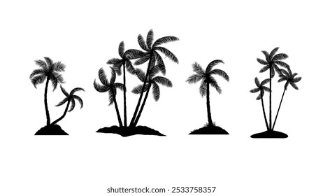 coconut tree with leaf isolated white background vector illustration