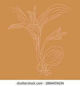 Arte de línea de árbol de coco con fondo cuadrado mínimo y colores pastel, perfecto para papel, marca, invitaciones, tarjetas, carteles, impresiones, paneles de humor, publicaciones en medios sociales