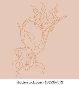 Coconut tree line art with Minimal square backgrounds and pastel colors, perfect for stationery, branding, invitations, cards, posters, prints, mood boards, social media posts