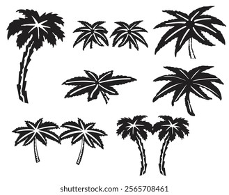 
Coconut Tree line art and sign 