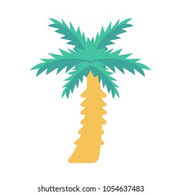  coconut tree nature beach 