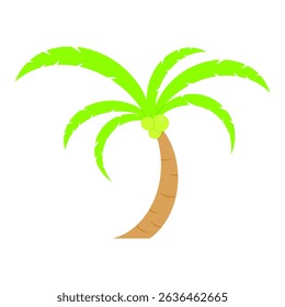 coconut tree. nature theme. summer theme. vector illustration