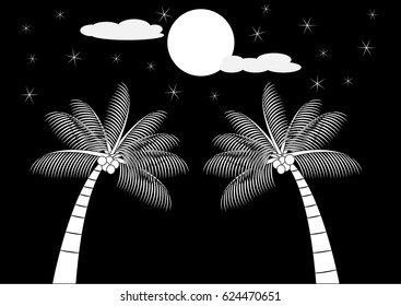 Coconut tree in the night.